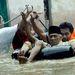 Indonézia: Árvíz Jakartában. Az előrejelzések szerint az ország számos térségében áradások várhatók az egyre fokozódó esőzések következtében január-februárban. 
