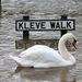 Hattyú úszik ott, ahol - mint a tábla mutatja - korábban járókelõk sétáltak az észak-angliai Worcester város Kleve Walk utcájában, miután a Severn folyó áttörte gátját.