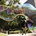 Dr. Bubi, az utcai mutatványos csillogtatja buborékfúvó képességét az ausztráliai Sydney központjában fekvõ Hyde Parkban.