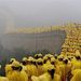 Kína: Több ezer, az olimpiai láng fogadására odarendelt önkéntes a kínai Nagy Falnál Pekinghez legközelebb eső részén. Az önkéntesek belevesznek a füstködbe, ami annak ellenére sem oszlik, hogy a kínai hatóságok már egy hónapja szigorú korlátozásokat vezettek be.