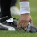 Argentína: Eltalált a labda egy galambot egy futballmeccsen. A tetemet a bíró távolította el a pályáról.