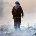Ausztrália: Kárfelmérő tűzoltó a Peats Ridge-i bozóttűz után.Az index cikke »
