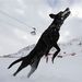 Franciaország: Hógolyózó kutya a francia Alpokban.