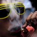 Kolumbia: A marihuána kis mennyiségű használatának dekriminalizálásáért füstölve szívva tüntető kolumbiai. 