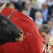 Spanyolország: Julian Lopez, „El Juli”, a matador Sevillában