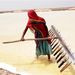 India: Sólepárló Gujarat államban. Több tízezer, embertelen körülmények között dolgozó munkás teszi Indiát a világ harmadik konyhasótermelőjévé.
