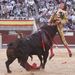 Spanyolország: Israel Lancho spanyol matadort felöklelte a ledöfött bika.