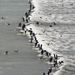 Dél-Afrika: Guinness-rekord Fokvárosban: 105 szörfös egyetlen hullámon