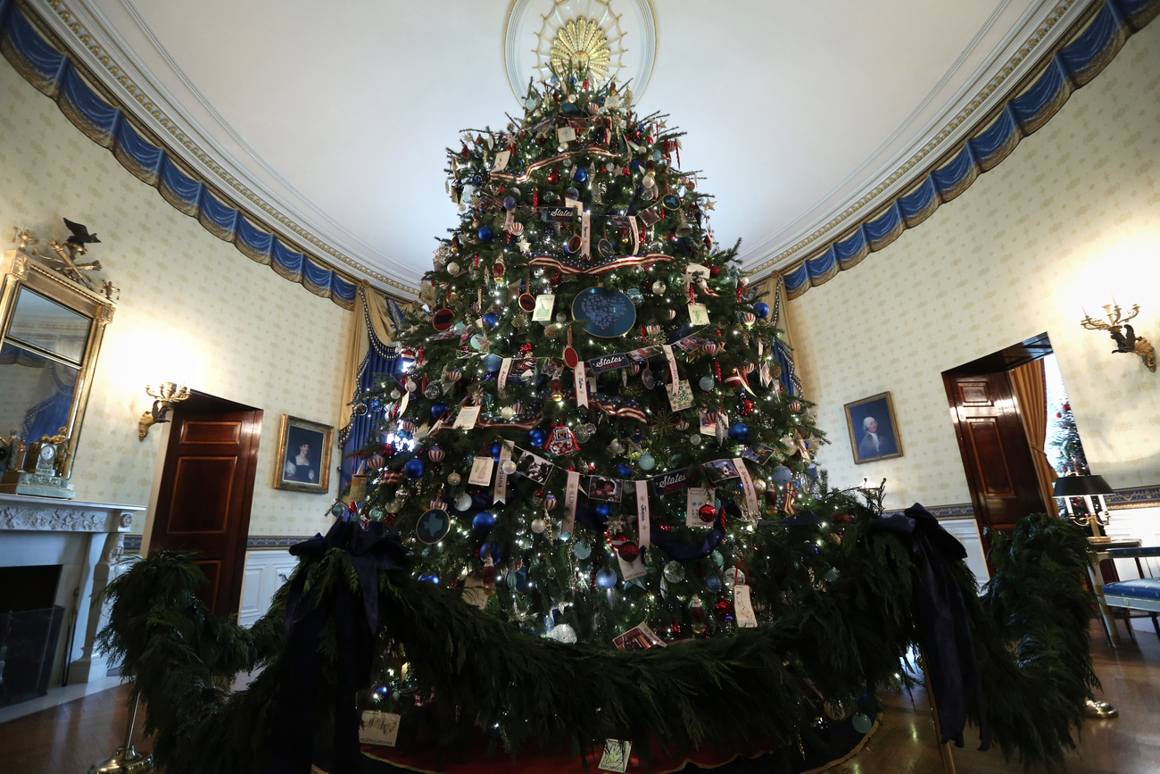 A ház legnagyobb fáját Pennsylvániából hozatták a Kék Terembe.
