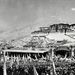 1959. március 10.: Kína-ellenes zavargások törtek ki Tibet fővárosában, Lhászában, ahol háromszázezren vették körül a dalai láma otthonát.  Kína 1951-ben foglalta el - illetve a kínai vezetés szerint békésen felszabadította - Tibetet, amelyet a következő években saját elmondásuk szerint modernizálni kezdtek, azonban országszerte ellenállás alakult ki velük szemben.