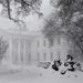 Washington - a Fehér Ház fehérben