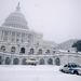 Washington - minden fehér a Capitoliumnál