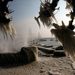 Grandson, 2010. március 9. Jégcsapból szakállt növesztett faágak a svájci Neuchatel-tó partján 2010. március 9-én, amint a hideg szélben Grandsonnál a tó vize a partot veri. (MTI/EPA/JEAN-CHRISTOPHE BOTT) 