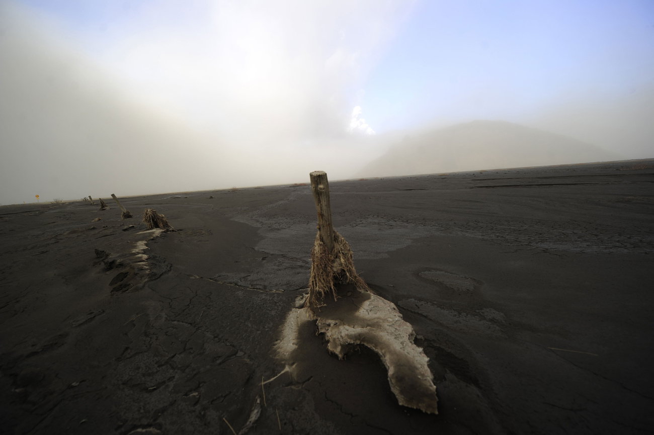 Egy izlandi gazda vezeti a lovait a vulkáni hamuval borított úton.