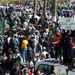 Kadhafi támogatói örülnek a felkelők felett aratott győzelmekről szóló híreknek Tripoliban a Zöld téren