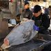 A tokiói halpiacon egy árus épp egy tonhalat szel ketté. A sugárfertőzött élelmiszerektől való félelem miatt a mindig nyüzsgő halpiacok szinte teljesen kihaltak Tokióban