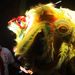 A kínai közösség tagjai oroszlán táncot járnak a sárkány évének beköszöntének tiszteletére Kalkuttában