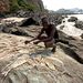 Halászó fiú a Kongó mellett.