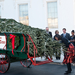 Megérkezett a karácsonyi hintó a fenyőfával a Fehér Házba, ahol Michelle Obama, az Obama-lányok és Bo kutya fogadták.