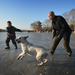 Jégkockát kerget egy kutya egy befagyott tavon Pekingben.