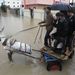 A szamár árvíz idején is megbízható közlekedési eszköznek bizonyul Gázában.