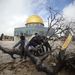 Palesztin férfiak húznak el egy kidőlt fát az Al-Aksza-mecset udvaráról