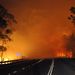 Második hete tombolnak Ausztrália délkeleti részén bozóttüzek, itt egy kétszer kétsávos autóutat borítanak be a lángok Új Dél-Walesben.