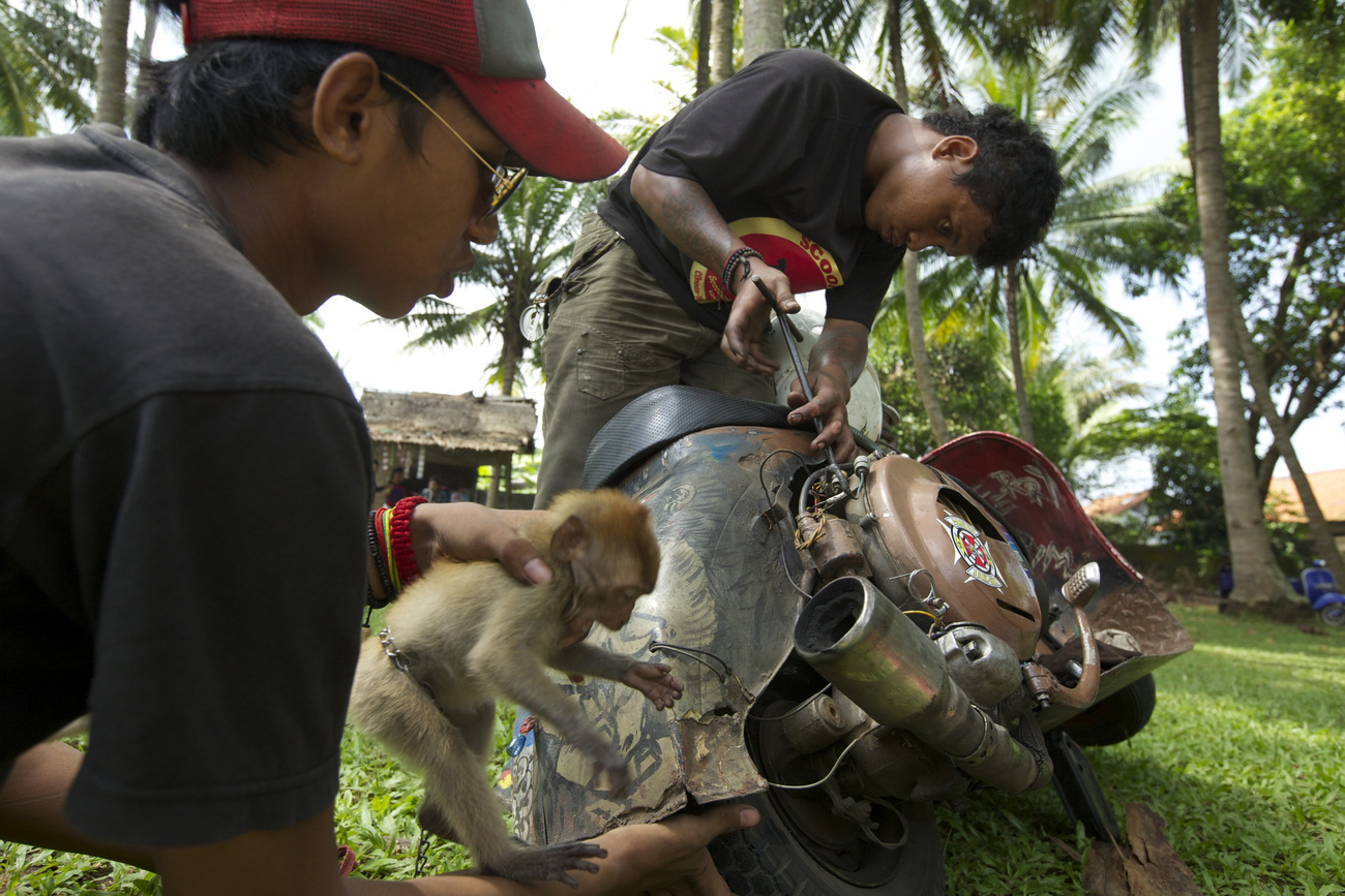 A koponya Indonéziában is a motorostalálkozó elengedhetetlen kelléke