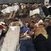 Áldozatok a Muzulmán Testvériség oldalán egy átmeneti kórházban, valahol Kairó belvárosában