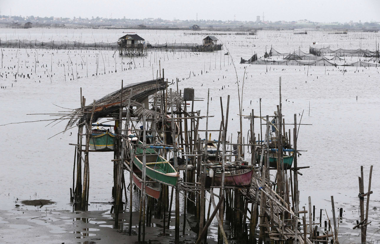 A Fülöp-szigetek gyakran szenved hasonló természeti csapástól, évente átlagosan húsz tájfun pusztít rajta.