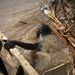 Egy turkana halász próbál visszamászni a csónakjába, miután megtisztította halászhálóját a beleakadt uszadékoktól. A turkanák Kenya száraz északkeleti részén élnek, a hagyományos nomád pásztorkodás mellett megélhetésük egyre inkább a halászattól függ.