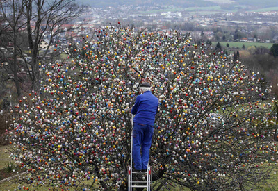 Volker Kraft többszörös húsvéti rekorder fája, amin 1965 óta több mint tízezer színes tojás gyűlt össze.