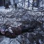 Eddig ötezren vesztették életüket a kelet-ukrajnai harcokban, köztük rengeteg civil, akik legtöbbször a gránáttűznek estek áldozatul, de van, aki az ukrán hadsereg és a szeparatisták közötti tűzharc vonalába kerülve halt meg.