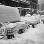 1960: újabb hóvihar.