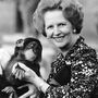 Thatcher nem az a miniszterelnök volt, aki a személyes bájával próbál választást nyerni, bár a brit nehézipar szétverése után nem is lett volna szerencsés hárommillió munkanélküli arcába röhögni. A kis csimpánz persze mit sem tud az egészről, nem dühös a Falkland-szigetek ostroma miatt. Olyan rajongással tekint Thatcherre, mintha már látná a Vasfüggöny leomlását és a brit gazdasági fellendülést, és különben is, hol van még az a kretén John Major.