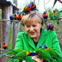 Merkel asszony a sokszínűség, az európai integráció és a cukorral nevelés híve, nem csoda, hogy hirtelen a palimadarak kedvencévé vált.