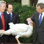 George W. Bush hálaadásnapi pulykát simogat 2001 novemberében. Közben Stuart Proctor, a Nemzetközi Pulykaszövetség elnöke olyan határozottan fogja az állat farkát, mintha attól tartana, hogy a megvadult állat kiharaphat egy darabot Bush hónaljából. Persze, erre semmi oka, mert a fotózás után egy állatkertbe került, nem az elnök tányérjára.