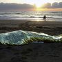 Egy pár sétál a naplementében egy lepelbe csavart menekült holtteste előtt a spanyol Fuerteventura tengerparton.