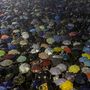Mivel Hong Kong monszun övezetben fekszik, így az esős hónapokban szinte mindennaposok az esőzések. Ezért volt mindenkinél esernyő, ami később az egész mozgalom jelképévé vált.