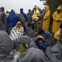Menekültek a szerb-horvát határon Berkasovónál
