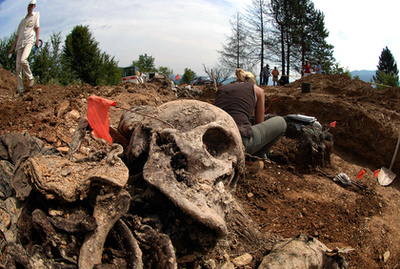 Bosnyák asszony imádkozik az áldozatok nevei felett a Potocari emlékfalnál. A boszniai háborúban legalább 100 ezren haltak meg, több mint 2 millió embernek kellett elhagynia az otthonát. Ez volt a legpusztítóbb európai háború a második világháború után.