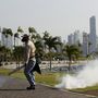 Szúnyogirás Panamavárosban