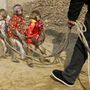 Szabadnapos Thomas Magnumnak öltözött mutatványos majmok a kínai Henan tartományban.