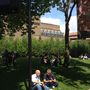 Ebédelő tömegek a Tate Modern előtti pázsiton