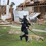 Robert Grant és kutyája, Rocky a Texas Task Force 2-es kutató és mentőcsapat tagjai egy lerombolt lakóház környékét fésülik át, sebesültek után kutatva.