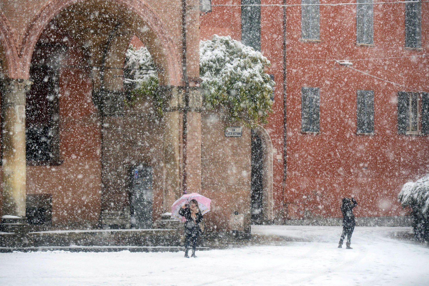 Bologna