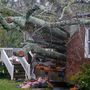 Wilmingtonban komoly pusztítást végzett a hurrikán