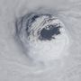 Rombolás és pusztítás maradt a Michael hurrikán nyomában Floridában, a rendkívüli időjárás hét halálos áldozatot is követelt