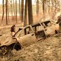 A halottak számát tekintve ez a legsúlyosabb erdőtűz Kalifornia történetében azóta, hogy számon tartják az áldozatokat. A hatóságok szerint több mint 6700 épület vált a lángok martalékává. 