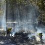 A Kalifornia északi és déli részén pusztító három nagyobb tűzvész oltásában nyolcezernél több tűzoltó vesz részt